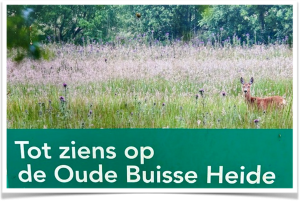 Oude Buisse Heide